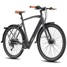 Fafrees F700M Electric Bicycle