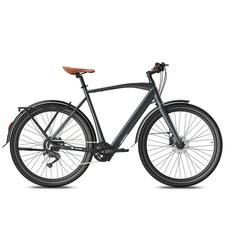 FAFREES F700 M Electric Bike