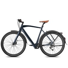 Fafrees F700M Electric Bicycle
