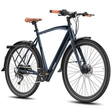 Fafrees F700M Electric Bicycle