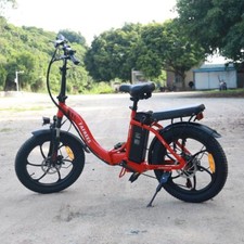 FAFREES F20 Foldable E-Bike
