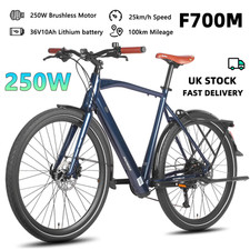 FAFREES F700M Electric Bike
